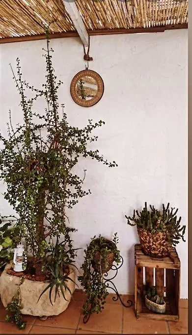La Casita Azul Villa Níjar Spanien